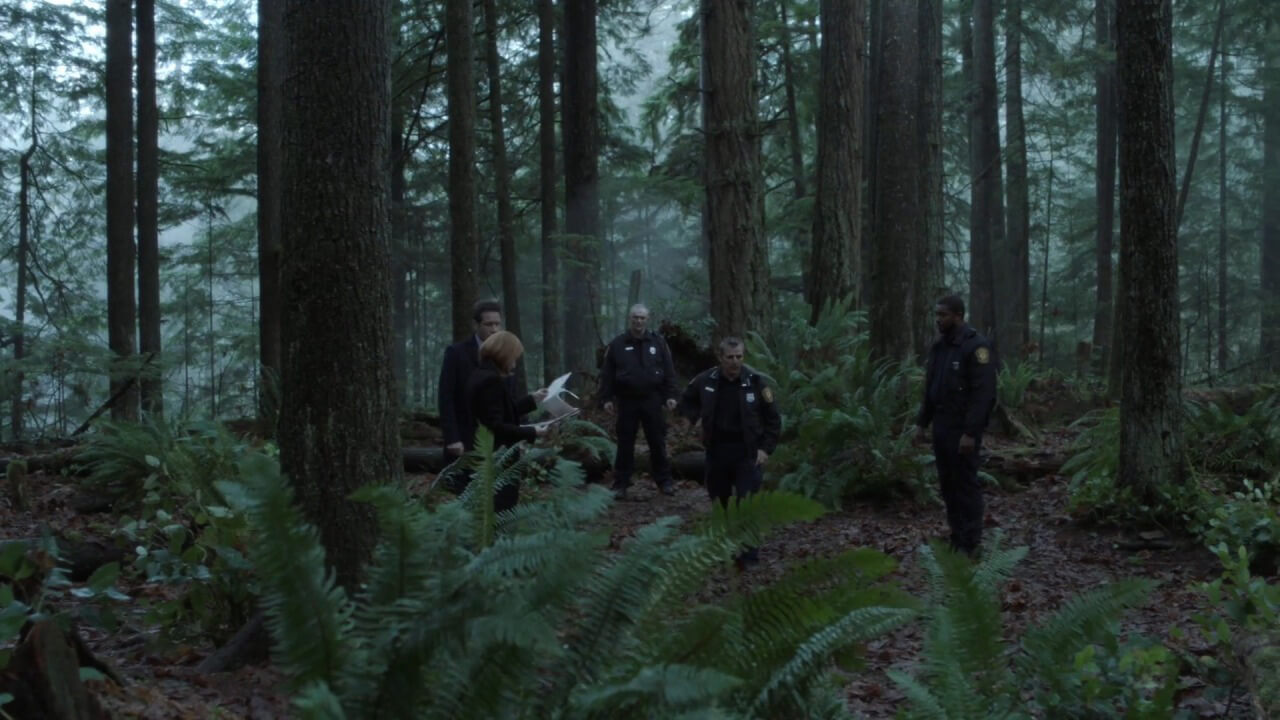 <em>The X-Files</em> episode "Familiar."